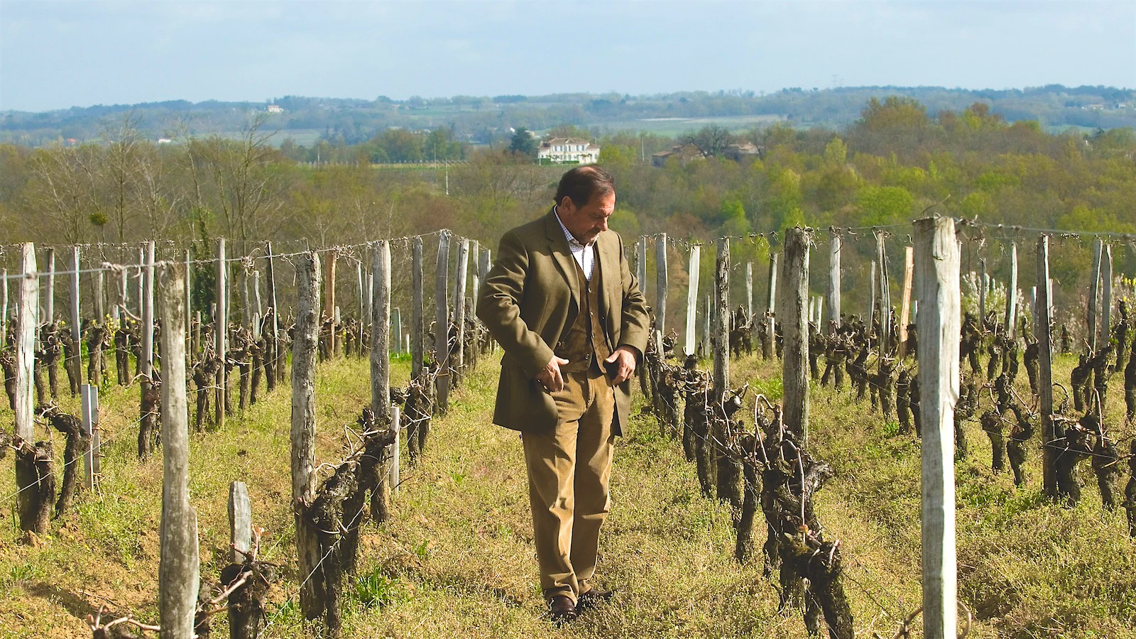 Michel Rolland walks between grapevine rows in a vineyard in Bordeaux, France